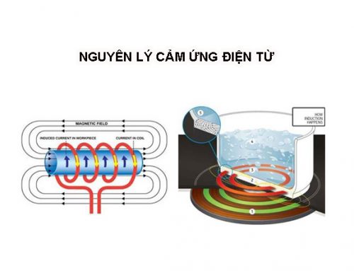 Vai trò của bếp điện từ (bếp từ công nghiệp) đối với bếp trung tâm của nhà hàng, khách sạn, trường học, doanh trại