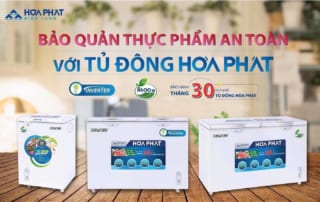 Tủ đông hòa phát - Sự lựa chọn cho việc lưu trữ