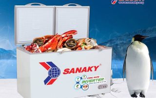 Tủ đông Sanaky Inverter